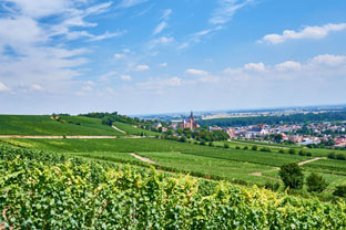 lagen_herrenberg_2_klein