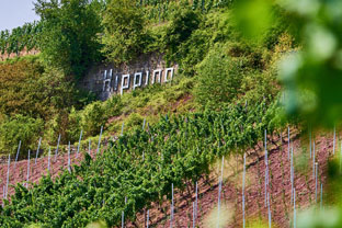 lagen_hipping_3_klein