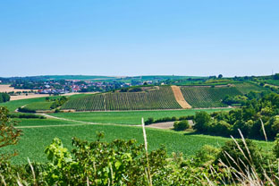 lagen_kranzberg_2_klein