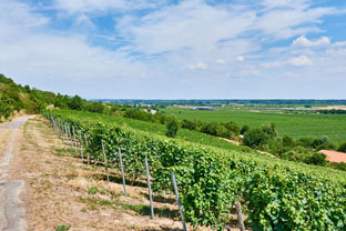 lagen_steigterrasse_3_klein