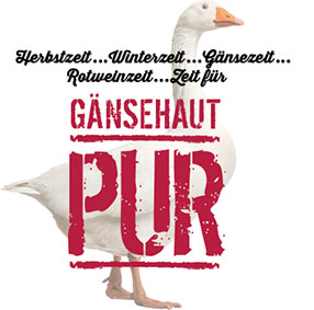 GänseFlyer