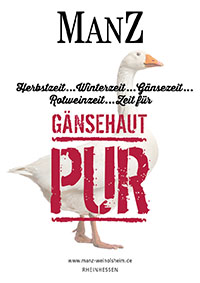 Gänsehaut_Poster