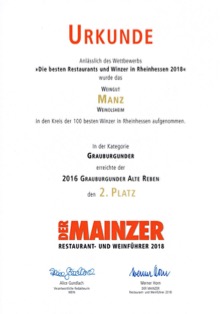 DerMainzer03_klein