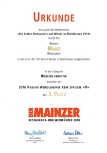 DerMainzer04_klein
