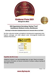 DLG_gold_315_klein