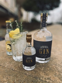 2xGIN_klein